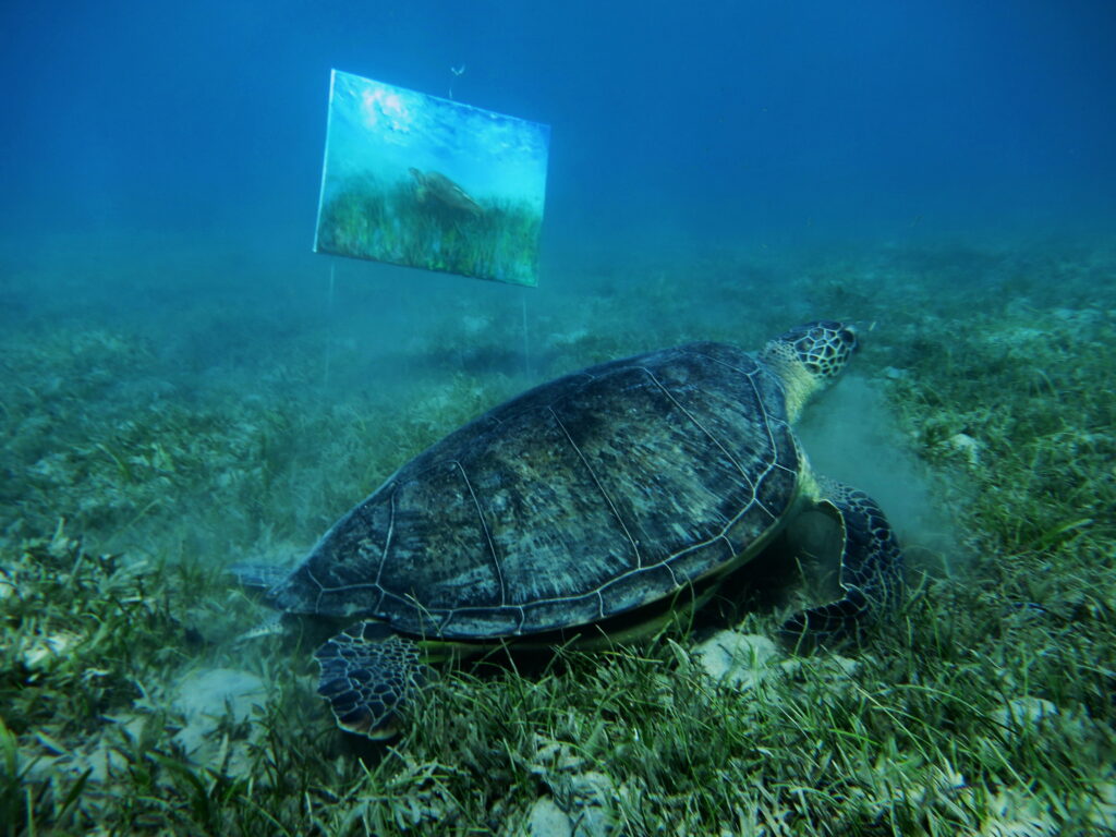 portrait of Sea turtle Henrietta