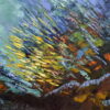 impasto painting coral reef wirh fish