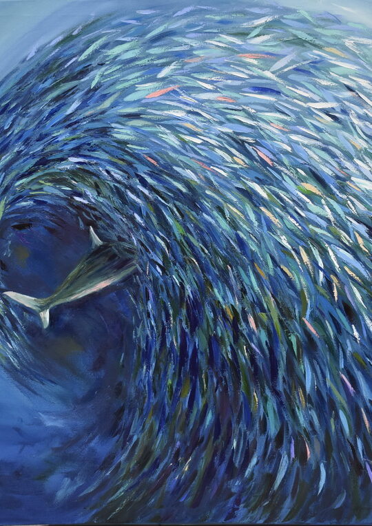Sardine Run Oil Painting