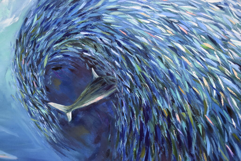 Sardine Run Oil Painting
