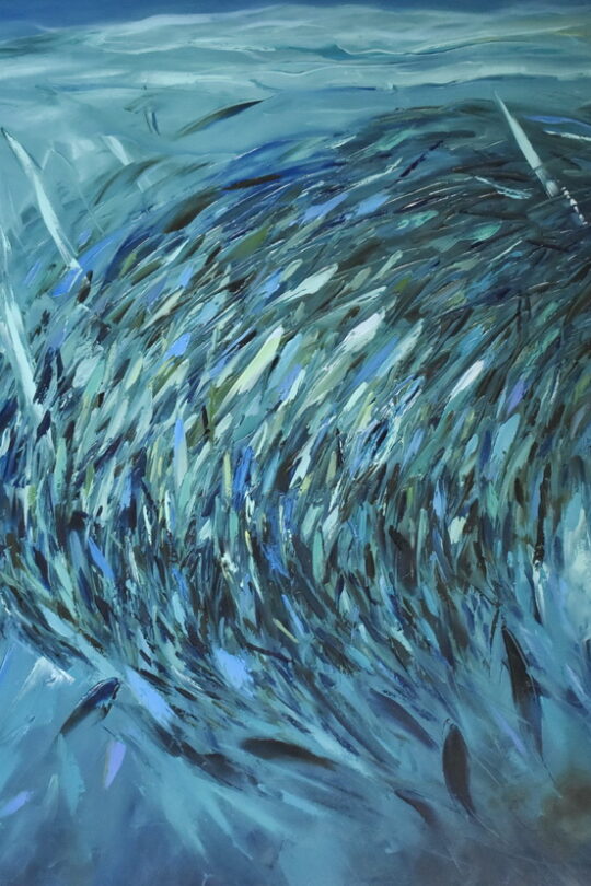 school of fish painting sardine run