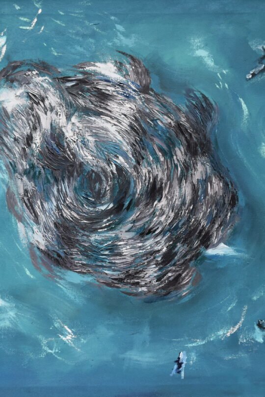 sardine run oil painting