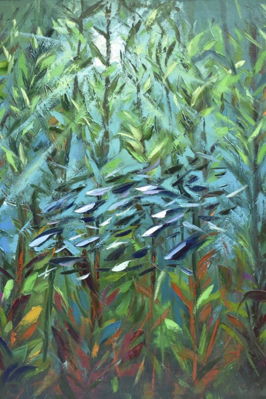 kelp forest